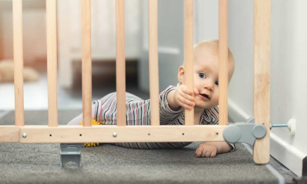 Best-Baby-Gates