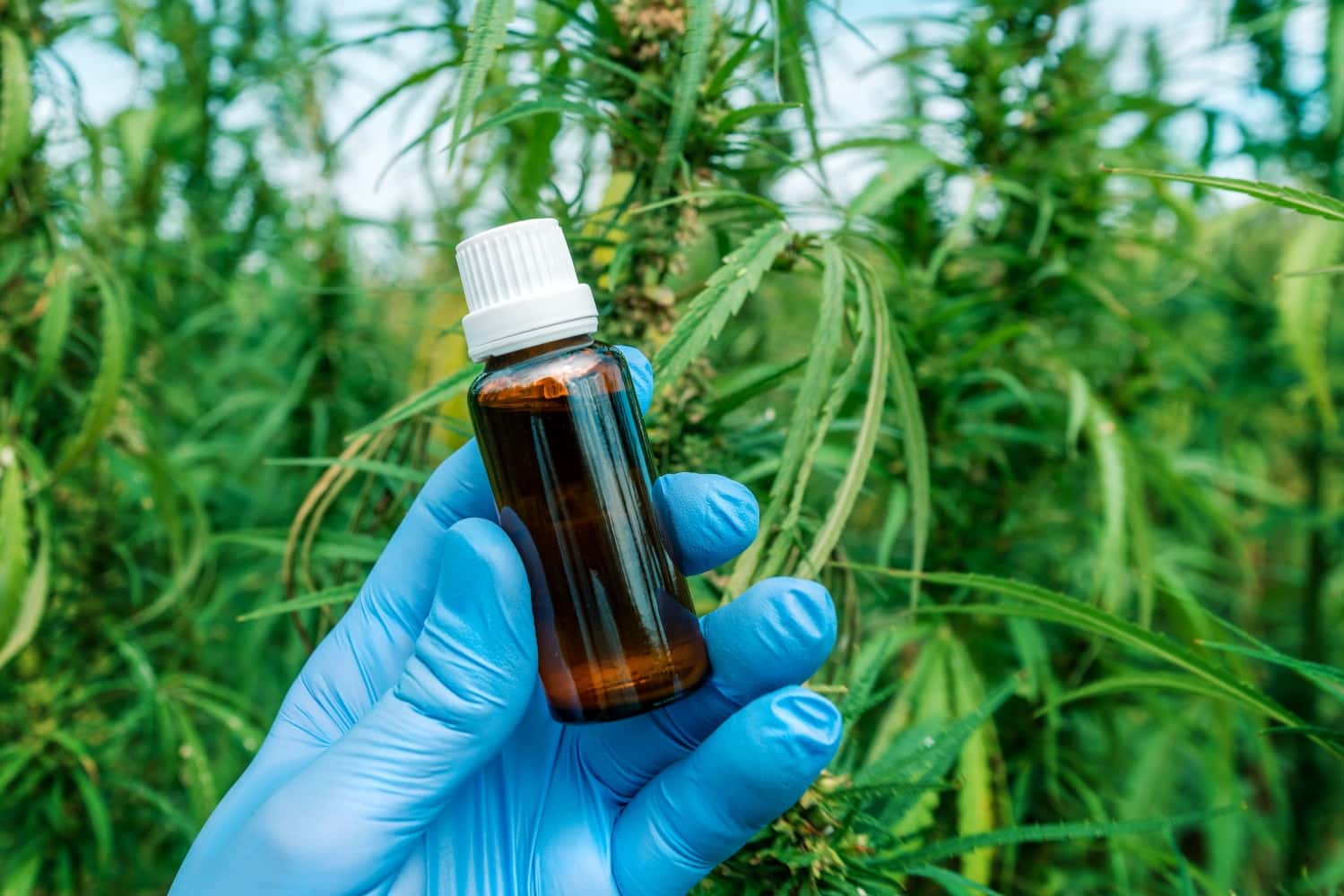 Tips For CBD Oil users